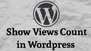 Read more about the article How To Show Views Count In Every Post – WordPress 2020 Latest